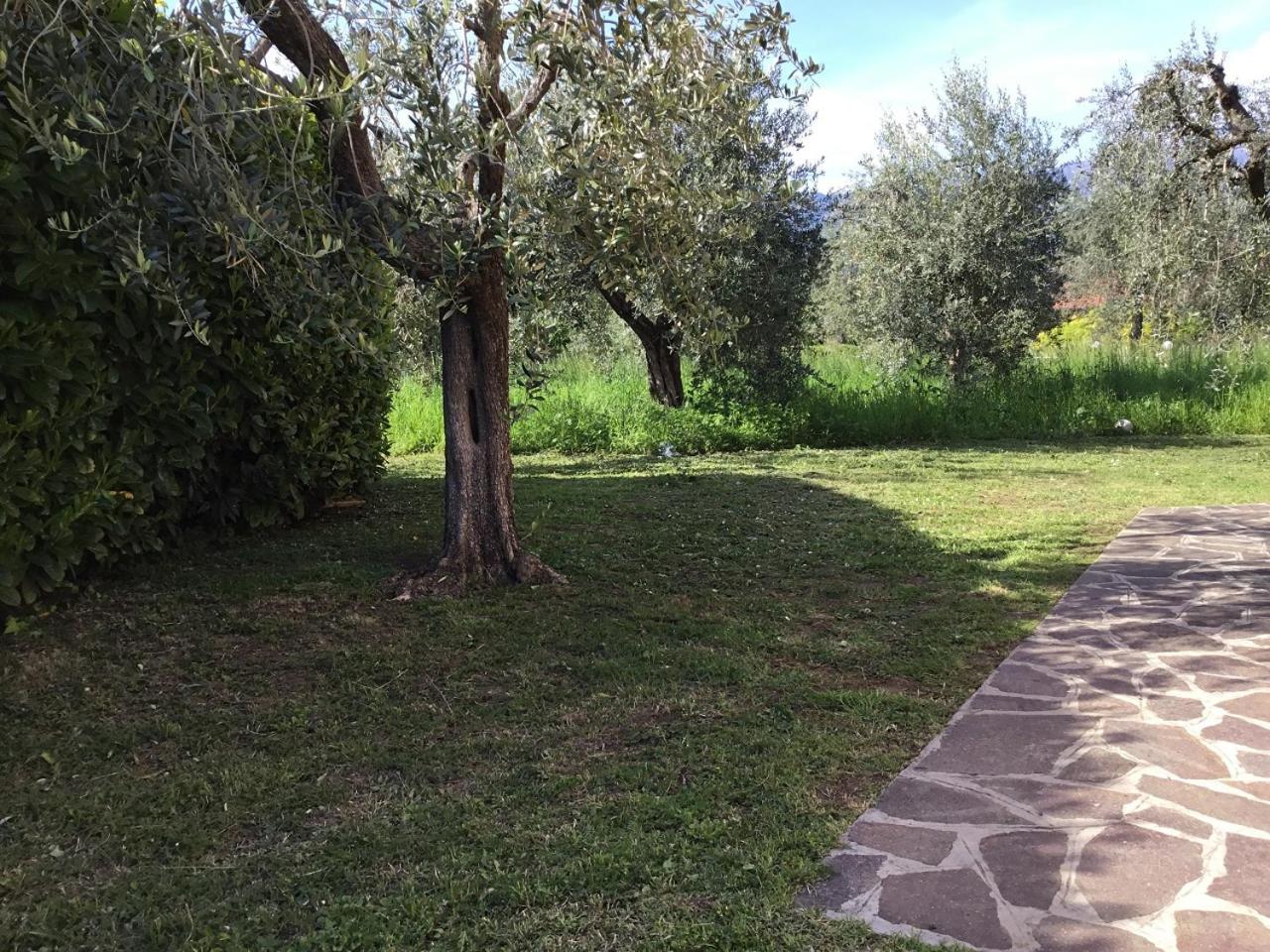 Bio Forester Manerba del Garda Exterior foto